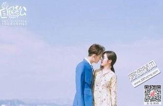 国民老公 背景曲,豪门盛宴背后的爱情传奇