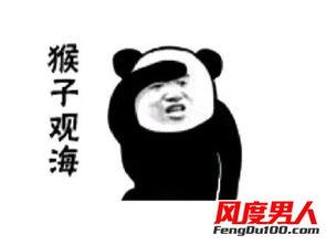 挑衅表情包,网络时代的“冷笑话”与社交新风尚